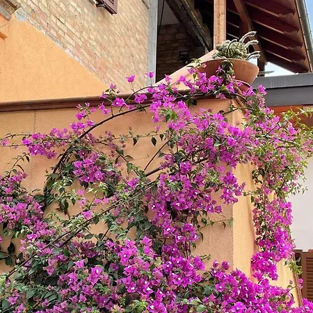 Casa Drema - Al Mare Con Terrazza