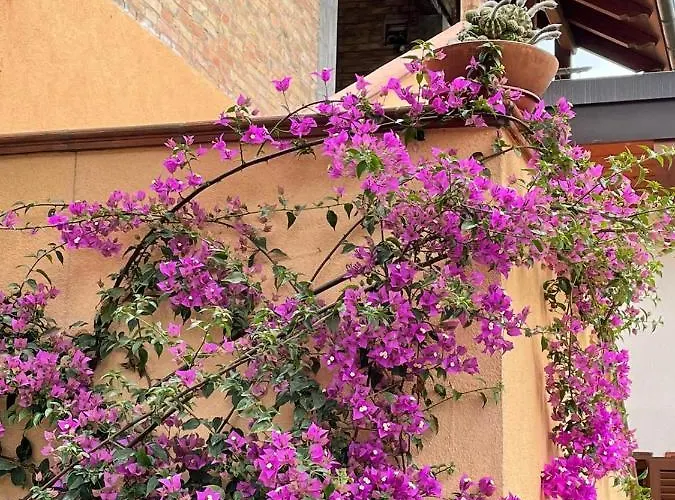 Casa Drema - Al Mare Con Terrazza