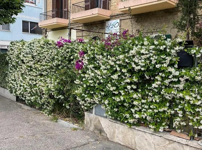 Konukevi Casa Drema - Al Mare Con Terrazza